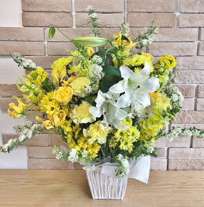  AWg    Vy~ V~zԁyV ʖ ʎzumE  AWgv(a_EEn̐F)y@  l\