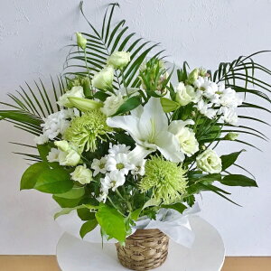   Mtg  AWg   V ԁy@ zu m  AWLiEO[njvyʖ ʎzy l\z 