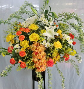 y|Cg2{zX^h JXj  jyMtg za JƏj X^ht[  t[Mtg ujpX^h ԁE[^Cv(CG[EIW