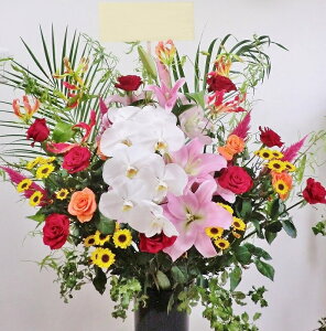 X^h JXj  j ayMtg zuӒX^hԁE[^Cv(bhn)vN j  AWg \ Mtg J@ ړ] J  j J