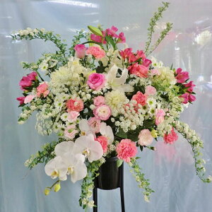 X^h JXj JƏj  j a  yzyX^ht[ t[MtgzuӒ  X^hԁE[^Cv(sNn)vy N jzy