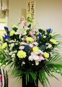 yV  X^hzy ʖ X^hԁzy ԁzyy14܂ŁzyaEVp X^hԁzy ݁zy@ ԁz     @v 