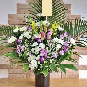 V  X^h   X^h y ԁzuaEVpX^hԁvy݁z@       @v O   {