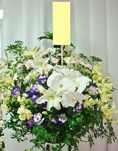 yV  X^hzy ʖ X^hԁzy ԁzyy14܂Łzuʖ  ʎ p Ӓ  X^hԁv(aEɒWF)y ݁z