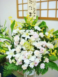 yV  X^hzy ʖ X^hԁzy ԁzyy14܂ŁzyaEVp X^hԁzy ݁zy@ ԁz     @v 