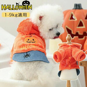 nEB ybg J{` IW L  RXv  ~  ybg̕ p[J[ L lR  RX`[  킢 ʋC _炩 nEB[  ϑ ߑ U