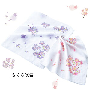 K[[ ʂ 2Zbg D 炩 @ { z ۂ}  g₷ SŔɗD100 Ԃ