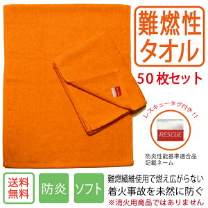 yȂ܂ƂߔzRtFCX^I@50Zbg