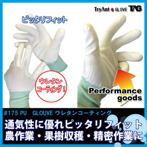  Ɩp܁@10oZbg PU GLOVE 10PyE^R[eBOdlzy@B  dH ^ ז  O y z jH |z