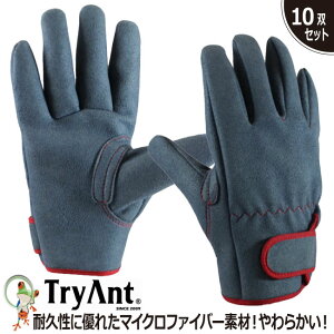 yz lHv TryAnt gCAg Je }WbN #820y10oZbgzƎ Ɩp Ɨp