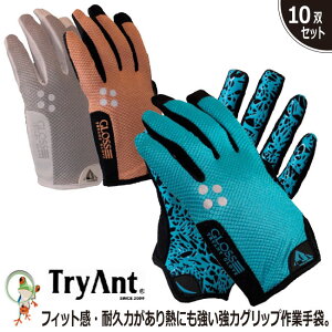 yz v TryAnt gCAg 3DOX #716y10oZbgzƎ Ɩp Ɨp TCYΉ