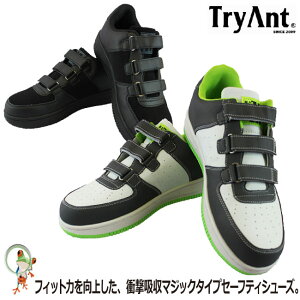 yzTryAnt SC Mantis }eBX M-20 }WbN^Cv |Sc  H zCg O[ ubN