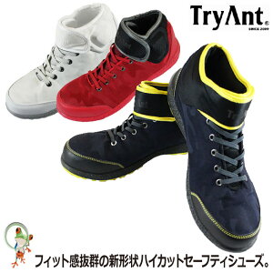 yzTryAnt SC LEECH [` L-28 R^Cv |Sc  H zCg bh lCr[