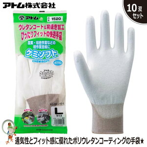 yzP~\tgƖp #1520  Ag Ɩp܁@10oZbg@w܁yʎn/_/|//@舵Ȃǁz