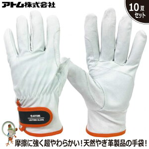 yz  Ag Rrv W[ 2062  10o Zbg Ǝ VR€ v ܂Ƃߔ v Ɨp tBbg t@Xi[xg ƗpO[u C _炩 v 