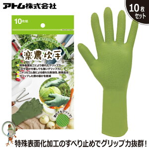 y[֑z Ag Ɨp y_10g 1790-10 10Zbg jgS ϖ ϖi Obv Ep Z~O^Cv g؂ ĝĎܑp