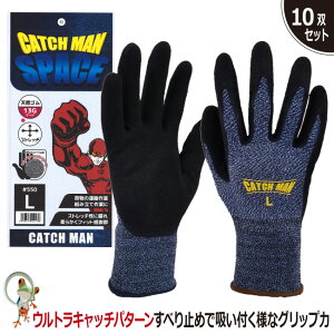 yzCATCHMAN SPACE 550  VRS Ɩp܁@10oZbg w Obv Xgb` ו^ gݗč