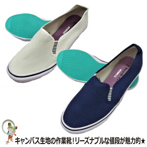 yzƌC  LoXEfbL NT-01 Ay22-28cmzyTCYΉz