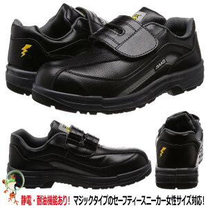 yzÓdSC GD JAPAN Xj[J[SC W1040 ubN@ѓdh~SC 4E }WbNe[vSCy Vv ₷  y V[Yz