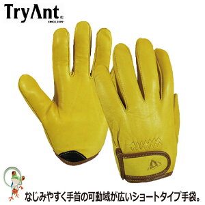 yz v TryAnt gCAg SHORT SHEEP V[gV[v #916y10oZbgzƎ Ɩp Ɨp