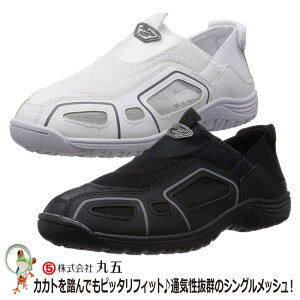 yzƌC ߂ƌC ی NIXvX#840i߂邭j TCY(TCY)Ή@pƌC