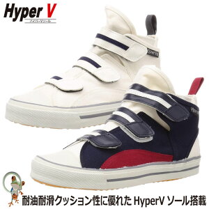 yzƌC iS@nCp[V\[ځ@nCp[V #1200 v ׂȂC h y Ɨp Xj[J[ Y 