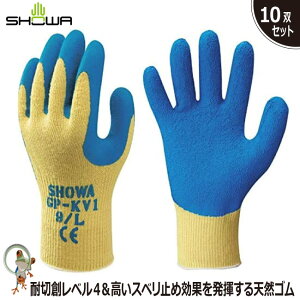 yz ϐؑn V[ GP-KV1 VRS 10o Pu[ Xx~ tBbg w