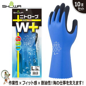 yz V[ No.378Plus jg[u W{ 10oZbg jgS ϖ h ϋv ϖՐ tBbg  Y