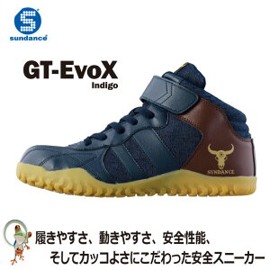 yzT_X sundance SC SXj[J[ GT-EvoX IndigoyfB[X@Yz|Sc@CfBS Z[teBV[Y bV ʋC@fj@JSAA A Fi