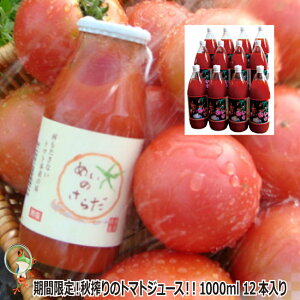 yzHY@Xg[g@v~AˎYg}gW[Xyz@ˍR̋_@߂̂炾@1000ml 12{@H̊ng}g100yMtg Ε p 