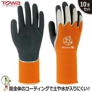 yz TOWA No.325 ubT o[O[uy10oZbgzƗp Obv VRS w