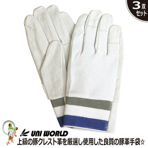 yzv ؊v j[h ؃NXgbX No.560 wʋC؊v܁y3oZbgz