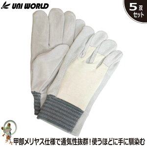 yzƗp v j[h bX No.402 wv܁y5oZbgzƃO[u ƗpO[u Ɨpv ܂Ƃߔ