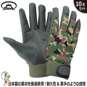 yz Ɨp PUCi[At@y10oZbgzw Ɨp  Obv v ʋC {f [N} ToCoQ[