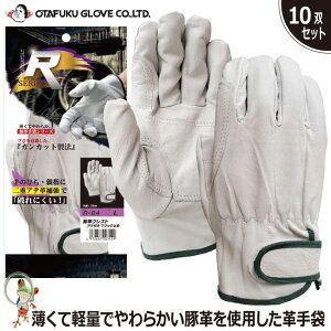 yz v ӂ R-24 ⋭Aet }WbN 10oZbg Ǝ ؔ v }WbN tBbg _炩 Čy