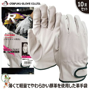 yz v ӂ R-25 ؊vNXg}WbN 10oZbg Ǝ ؔ v }WbN tBbg _炩 Čy