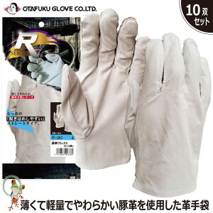 yz v ӂ R-30 ؊vNXgJtX  10oZbg Ǝ ؔ v tBbg _炩 Čy Ɩp
