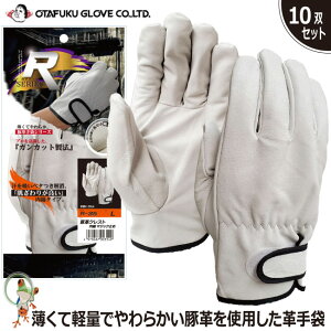 yz v ӂ R-35 ؊vNXgȃ}WbN 10oZbg Ǝ ؔ v }WbN tBbg _炩 Čy