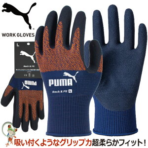 y[֑zPUMA v[} w Ɨp Xx~ߎ Ɨp j[h PG-1300 RockFit VRS lCr[IW u[ Obv _炩