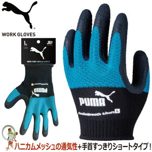 y[֑zPUMA v[} w Ɨp Xx~ߎ Ɨp j[h PG-1335 RadialBreath Short VRS ubNu[ Obv ϋv ʋC