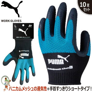 yzPUMA v[} w Ɨp Xx~ߎ Ɨp j[h PG-1335 RadialBreath Shorty10oZbgzVRS ubNu[ Obv ϋv ʋC