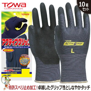 yz Ǝ Ɨp TOWA 581 ANeBuObvy10oZbgzƖp ▀Ղɋ ϖ w ʋC jgS