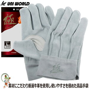 y[֑zv Ǝ j[h  {v wD ᓖt KS451 v v