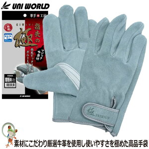 y[֑zv w̋ IC{v xg ᓖt KS854 v ICH {v j[h