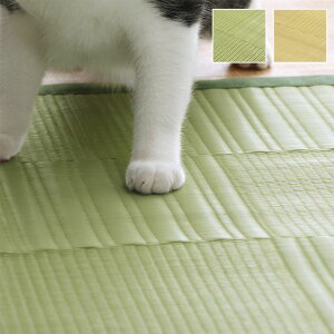 O 􂦂 J[ybg { Y R hL L AEghA W[ ~ a Vv ]ˊ10(435×352cm)[13]