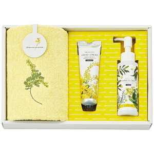 ~A~U EHbV^IRXZbg N[ Mtg 蕨 v[g MMC10451C(N[)[24]