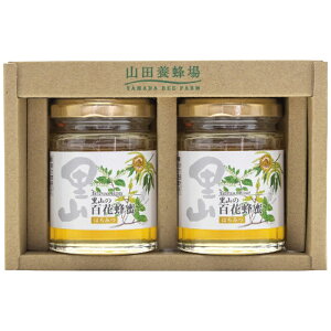 Rc{I YI2{Zbg Mtg 蕨 v[g[24]