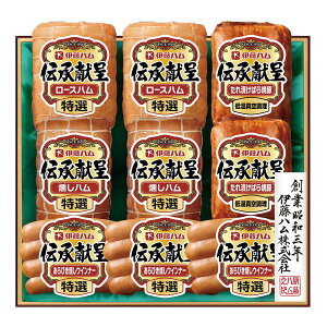 ɓn `Mtg Mtg 蕨  FSV-100yYz[24]