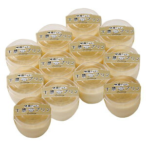 kC \v Mtg 蕨 yYz[24]