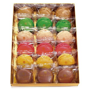 _C y①z}Jlߍ킹i18j Mtg 蕨 yYz[24]